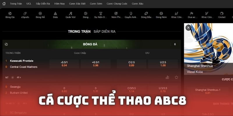 Cá cược thể thao với nhiều loại kèo tỷ lệ cược khách quan